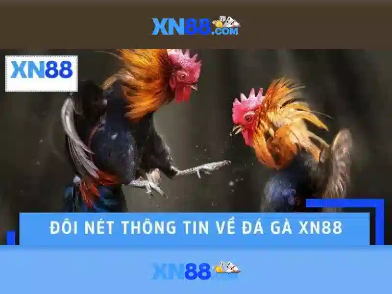 Ưu điểm của XN88 App