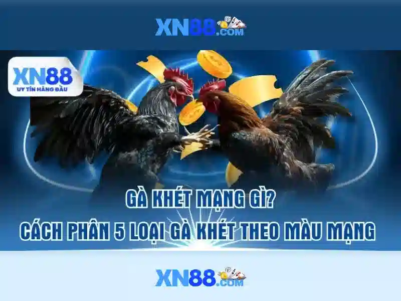 Đa dạng thể thao và xổ số trực tuyến