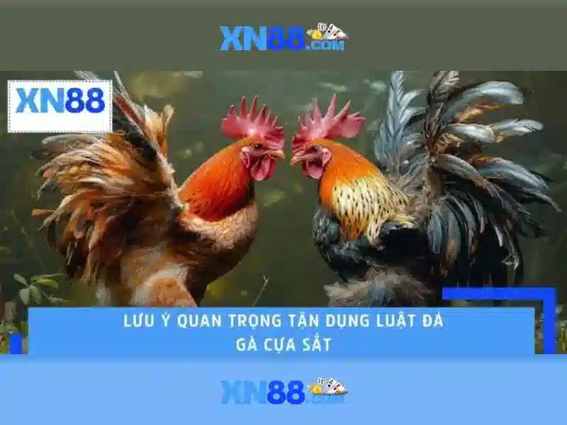 Giao diện hiện đại, trải nghiệm mượt mà