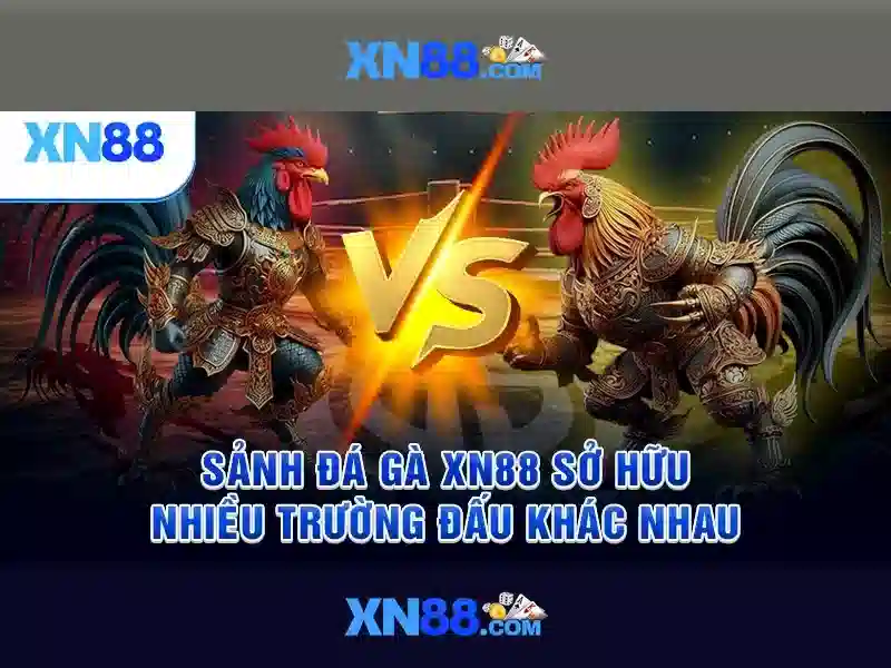 Tính năng nổi bật của XN88 App