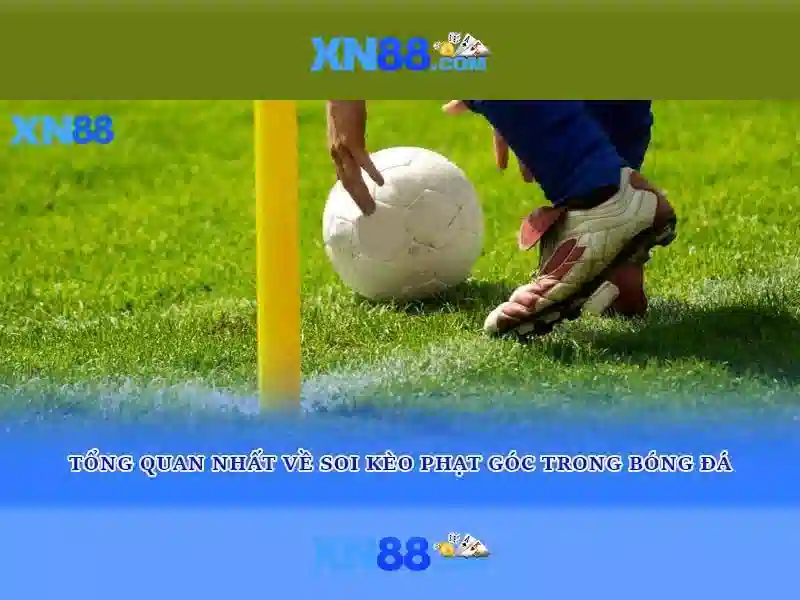 Đặc Điểm Nổi Bật Của XN88