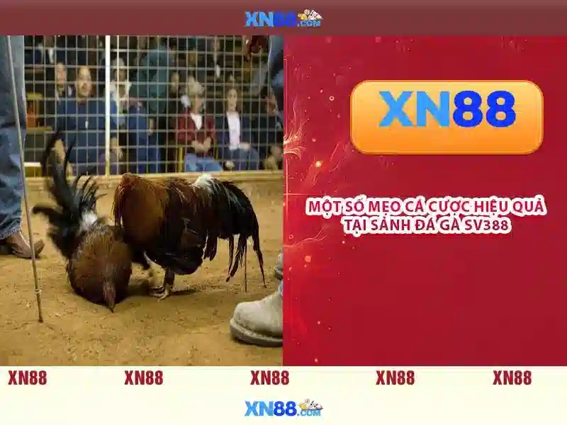 XN88 Gaming – Trang Chủ XN88 – Trải Nghiệm Chơi Slot, Casino, Thể Thao, Xổ Số, Bắn Cá, Trực Tuyến