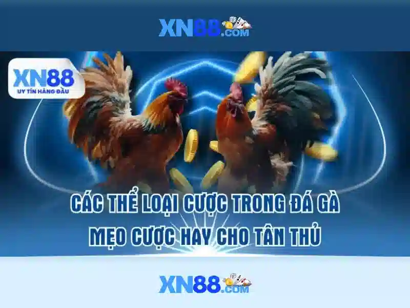 XN88 - Trải Nghiệm Game Slot Đỉnh Cao Với Công Nghệ 3D Hiện Đại 2026