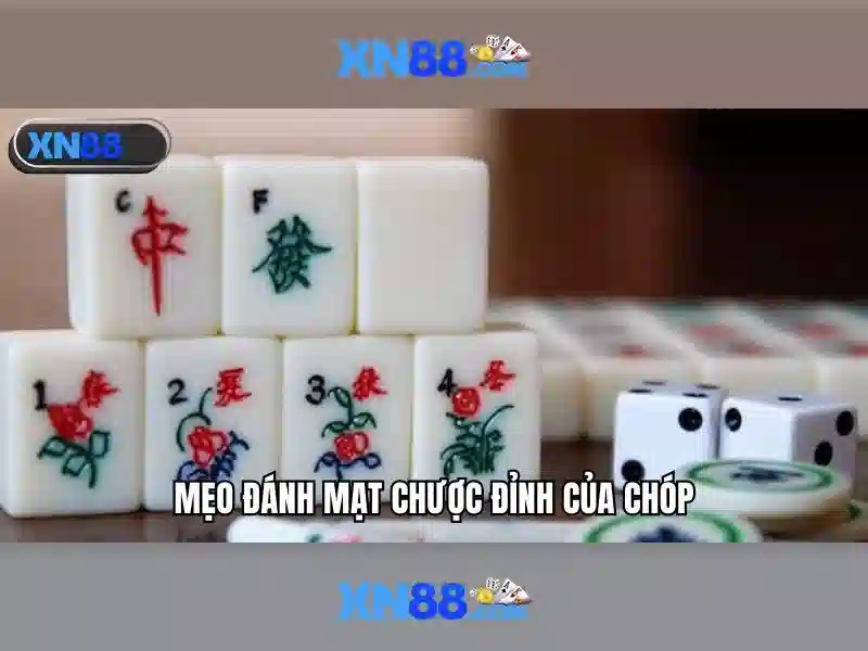 Đánh Giá Từ Người Chơi