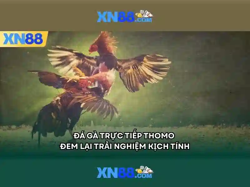 Trò chơi slot game phổ biến trên app XN88