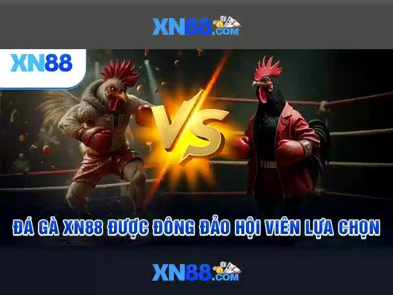 Nền Tảng Casino Trực Tuyến XN88