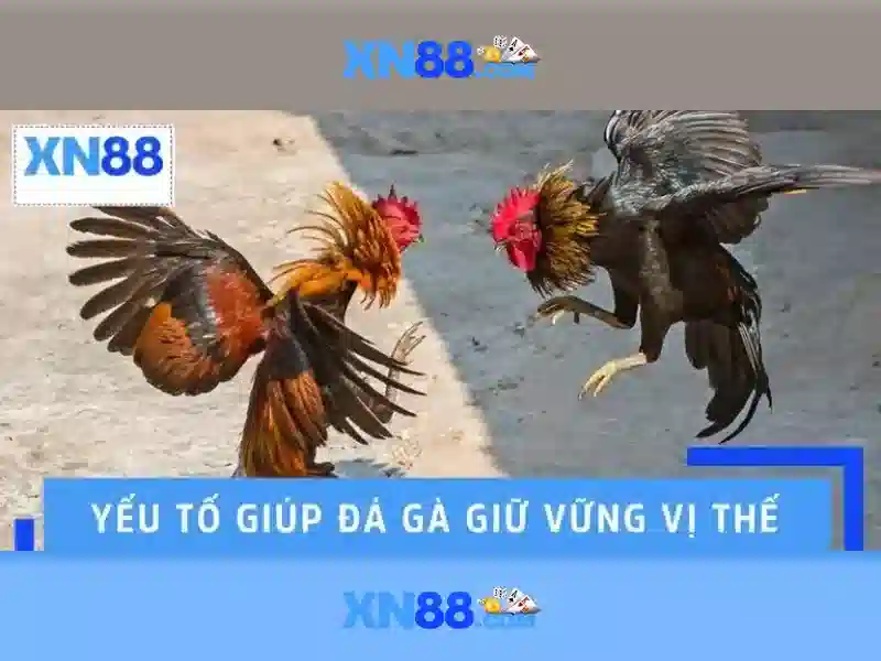 XN88 Casino 2026 – Trải Nghiệm Slot Đỉnh Cao Tại XN88