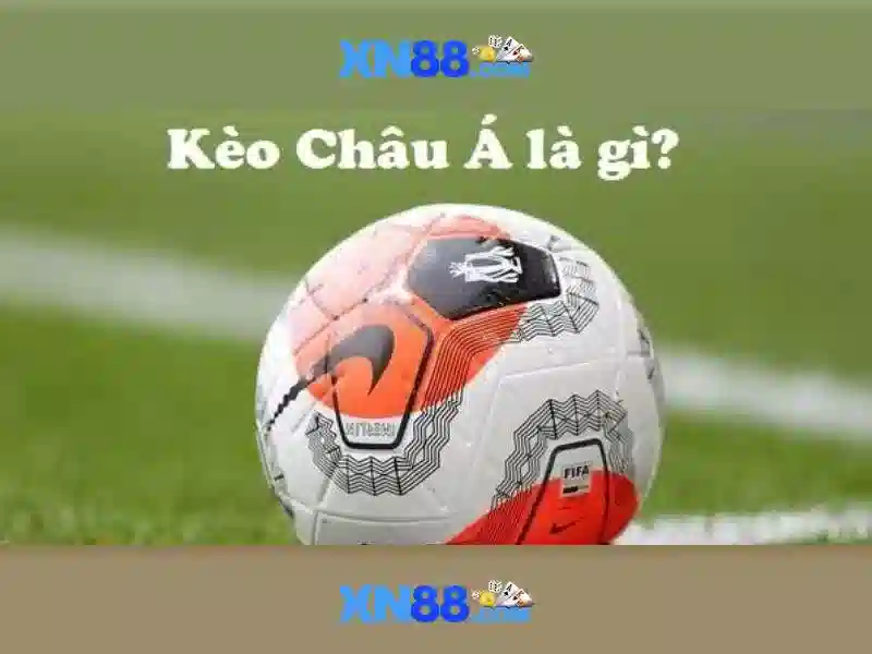 Ưu Đãi Độc Quyền Cho Người Dùng