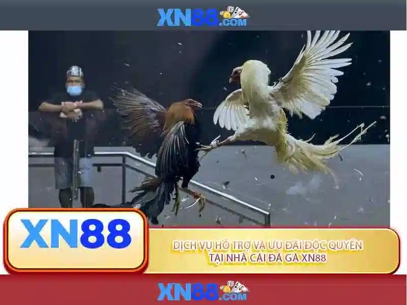 Giao diện XN88