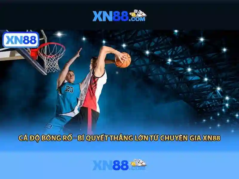 Đặc Điểm Nổi Bật