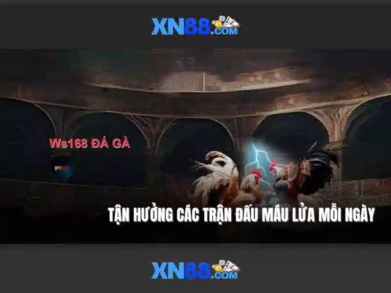 Kho Trò Chơi Slot XN88