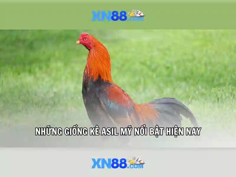 Trò chơi Slot XN88