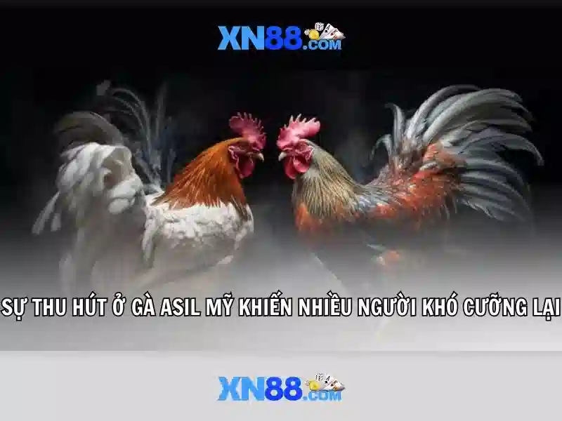 Trải Nghiệm Slot An Toàn Và Thoải Mái