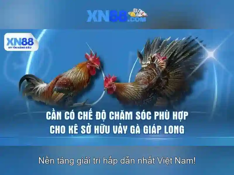 XN88 – Trang Web XN88 Game Trực Tuyến – Trải Nghiệm Slot Đỉnh Cao 2026