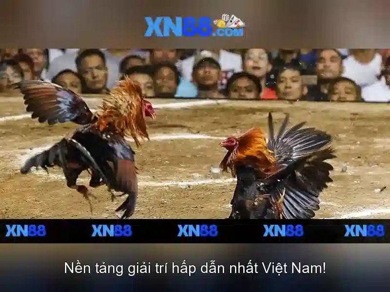 XN88 – Trang Chủ XN88 Chính Thức Không Bị Chặn 2026