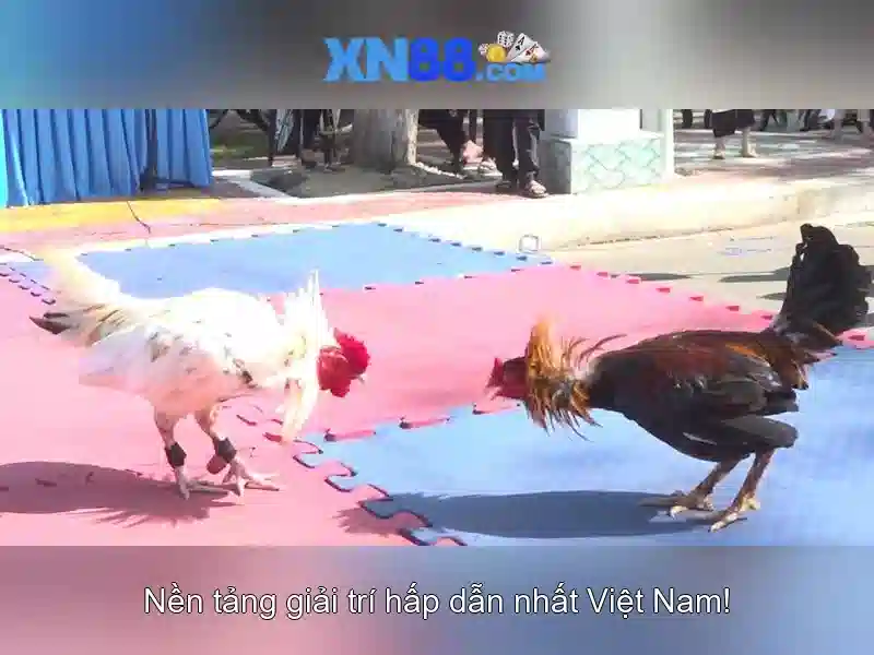 Trải Nghiệm Slot Đỉnh Cao Tại XN88