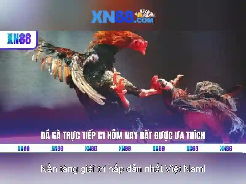 XN88 – Thiên Đường Giải Trí Cho Người Yêu Nghiện Slot