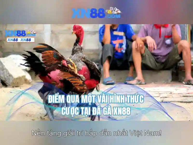 Ứng dụng slot XN88