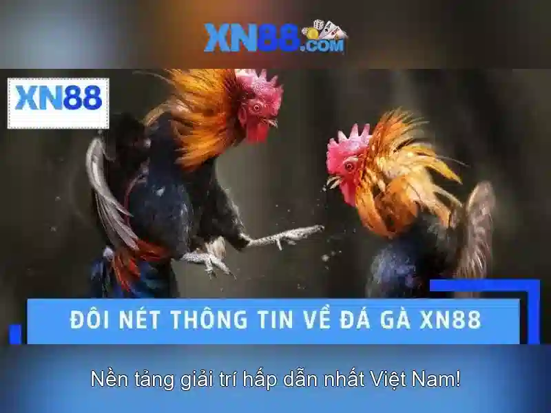 Ưu Điểm