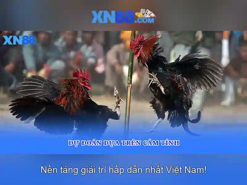 Tại Sao XN88 Được Tin Tưởng