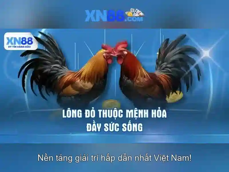Kho game Slot đa dạng