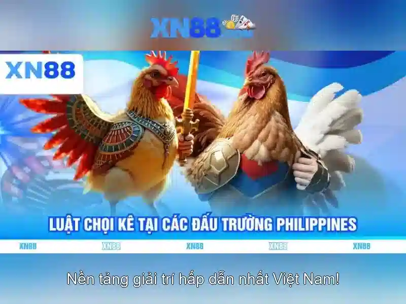 Nạp Tiền Nhanh | Rút Tiền Nhanh | Sơ Đồ Mạng XN88 Slot