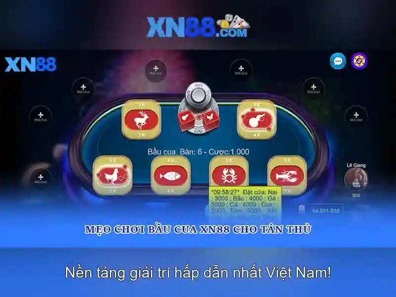 Hướng Dẫn Truy Cập