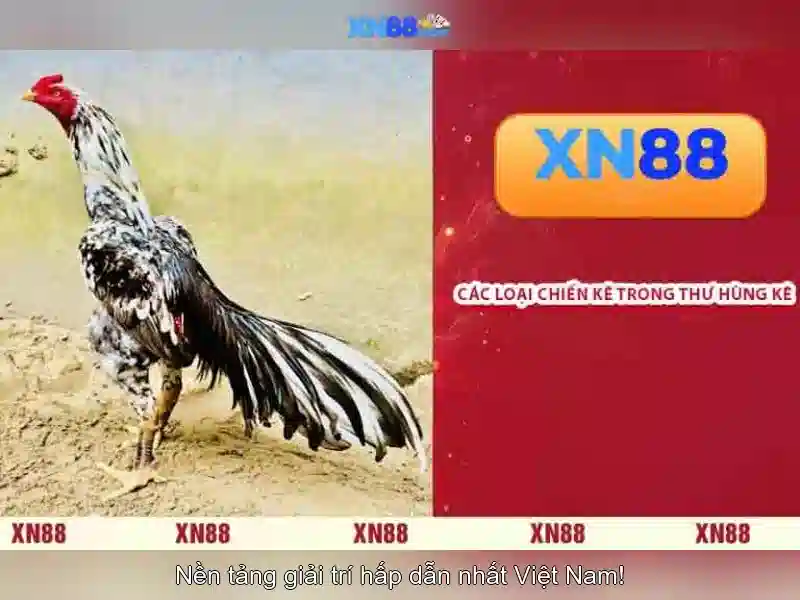 Bắt Đầu Trải Nghiệm Slot Tại XN88