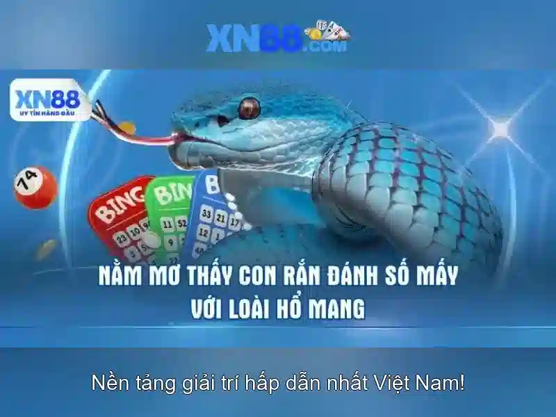 Ưu Điểm Nền Tảng XN8.T8