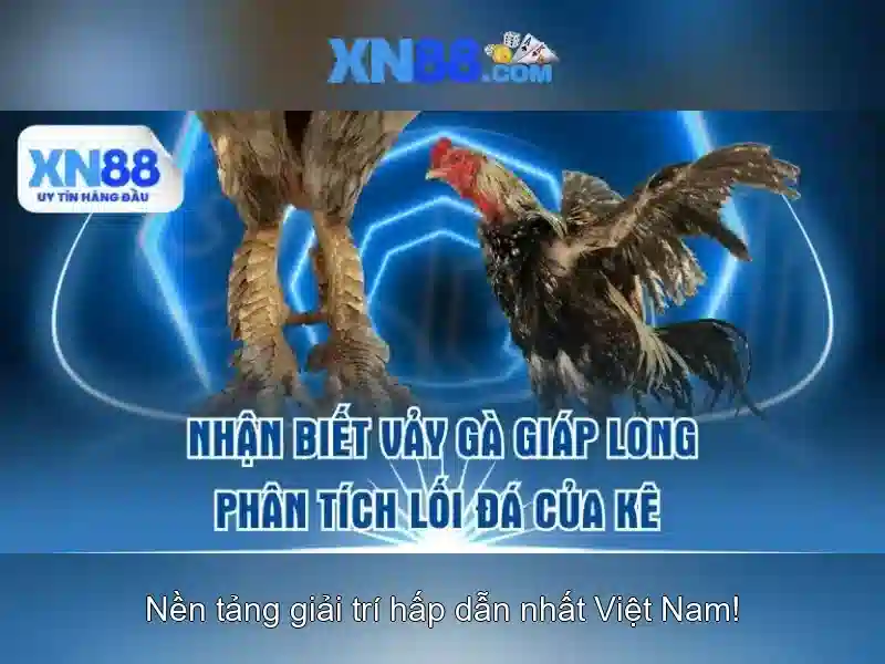 Lợi Ích Khi Đăng Nhập XN88