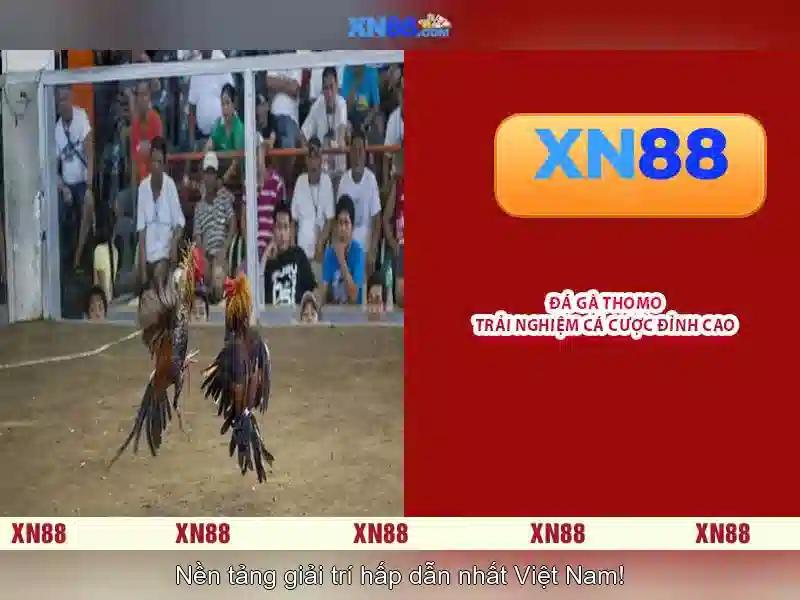 Các Loại Game Slot Tại XN88