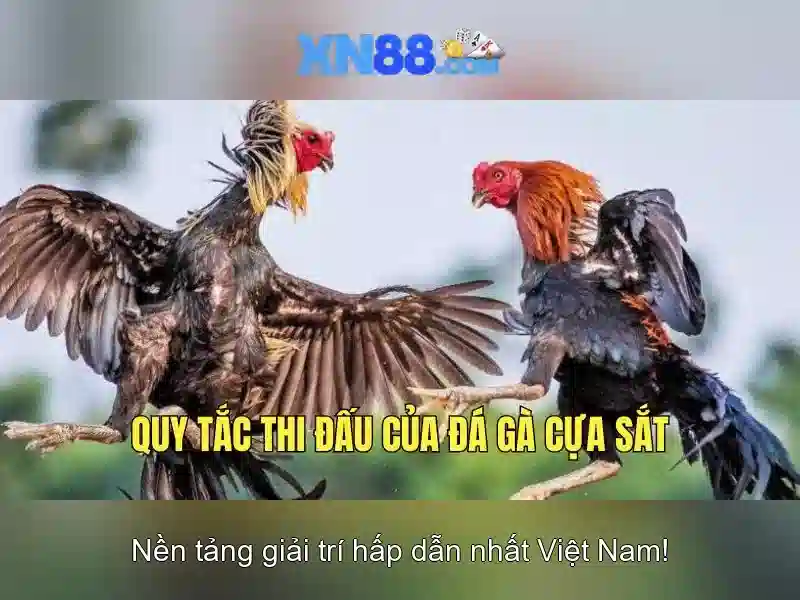 Tính Năng Đột Phá Của XN88 App