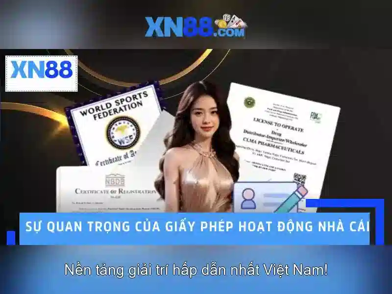 Hướng dẫn đăng nhập XN88