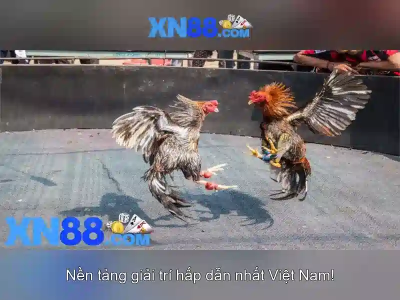 Khuyến mãi slot độc quyền