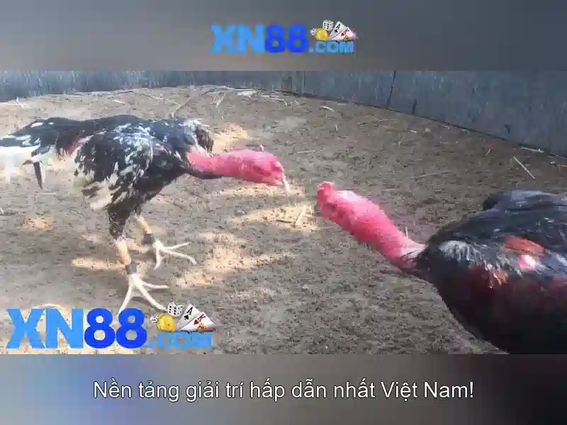 Khuyến mãi hấp dẫn