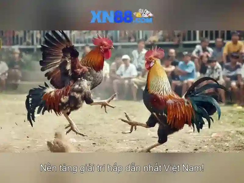Cách Nhận Biết XN88 Lừa Đảo