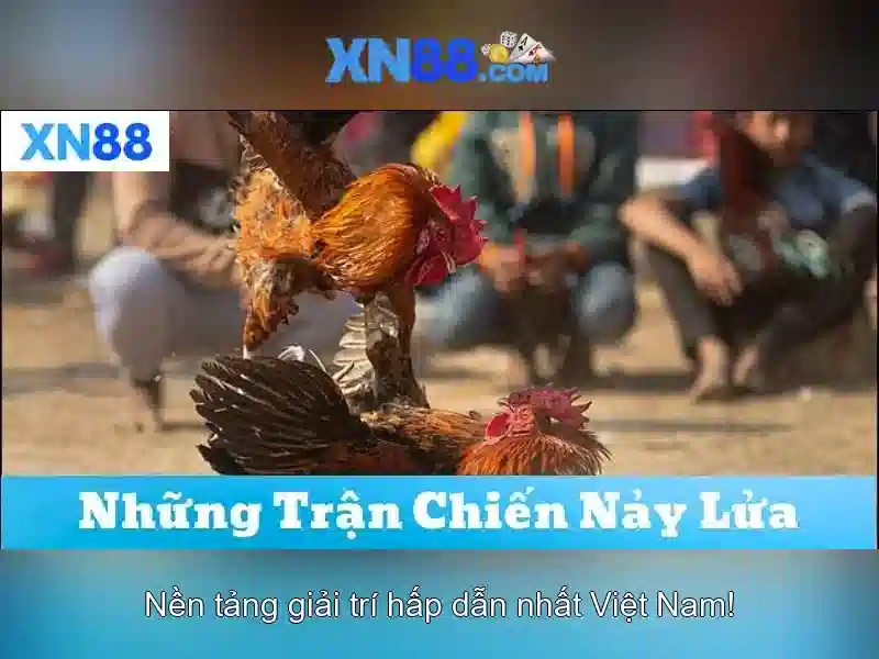 Ưu Điểm Nghiệm Cá Cược XN88
