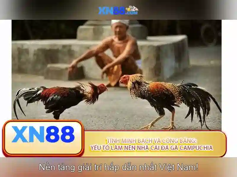 Trải Nghiệm Cá Cược Slot Đa Dạng