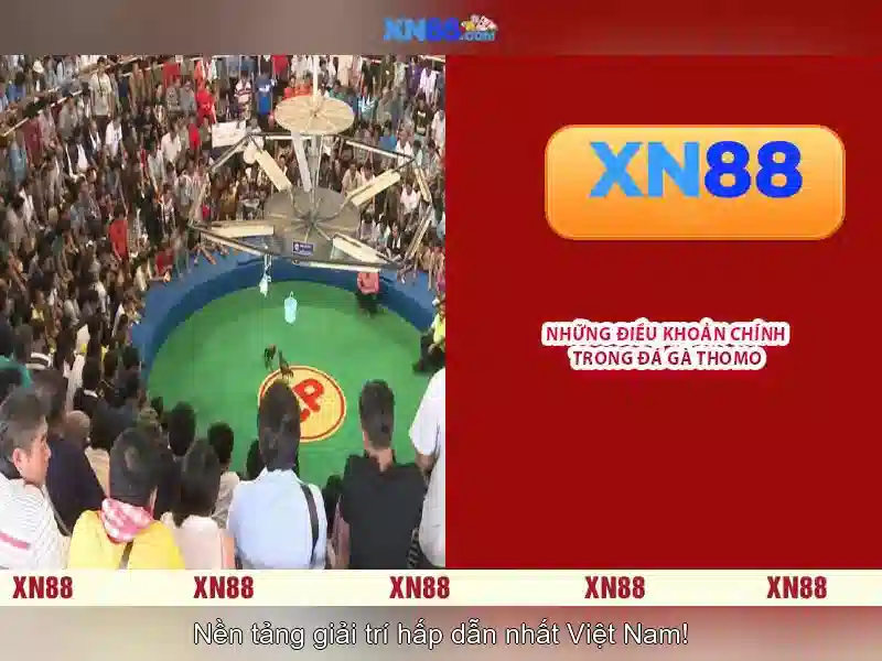 Ưu Điểm Nổi Bật Của XN88