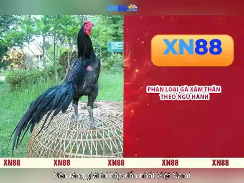 XN88 Là Gì – Trang Chủ Casino Trực Tuyến Đa Dạng, Chơi Slot Trực Tuyến, Trải Nghiệm Đỉnh Cao 2026