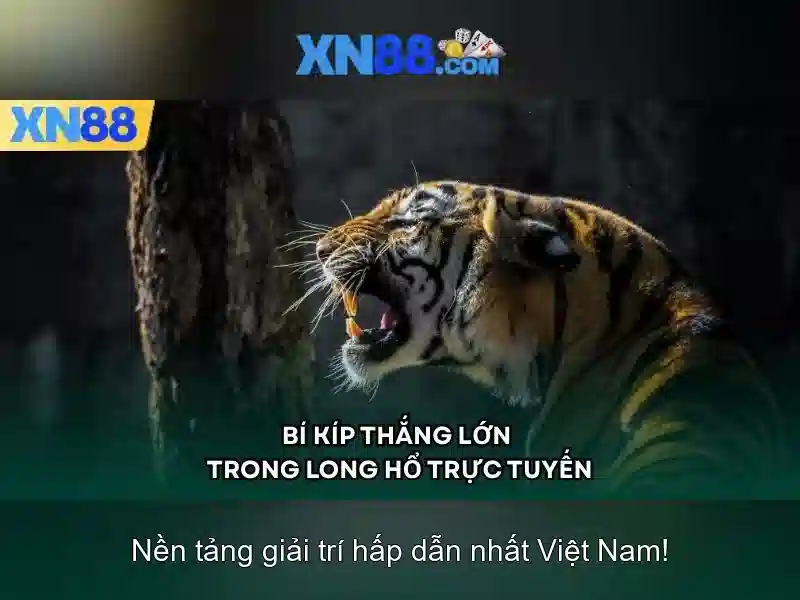 Tại Sao Nên Chọn XN88