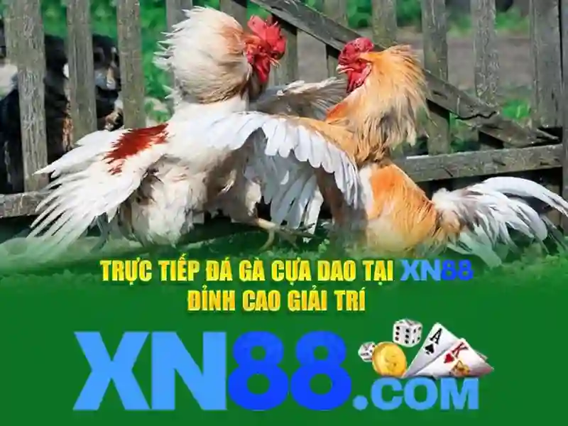 Trải nghiệm Slot 2026